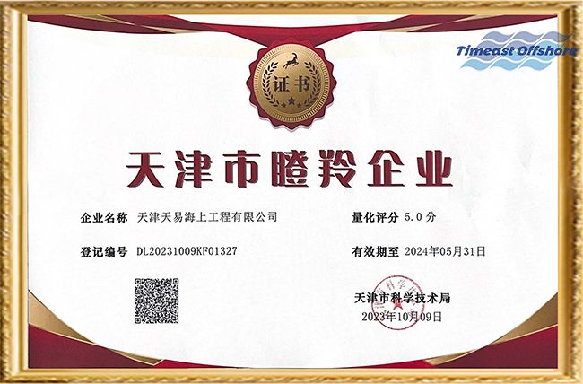 喜報（bào）丨天（tiān）易海工榮獲“天津市創（chuàng）新型中小企業”和“天津市瞪羚（líng）企業”雙重認定